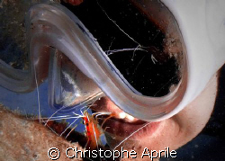 why go to the dentist when you can get a free dental care... by Christophe Aprile 